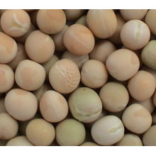 White Peas Dried, 250g