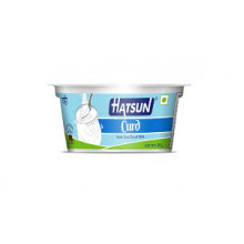 Hatsun Curd, 200 g Pouch